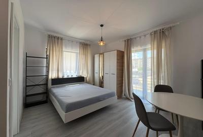 Garsonieră semidecomandată în Vișani - 2