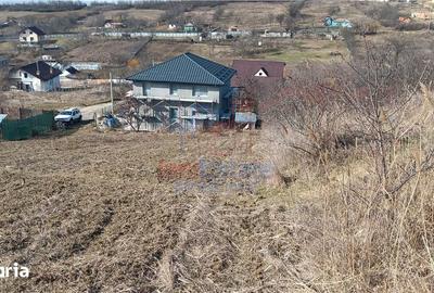 Teren de 910 mp, în Bârnova - 5