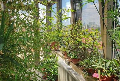 Apartament tip duplex 6 camere si 2 terase.Bloc nou. - 6