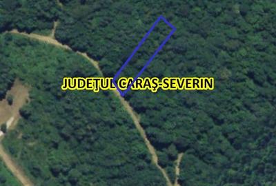 Teren de vanzare la Valiug 1000-3000mp ID 1218 - 7