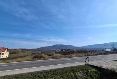 Teren Construcții intravilan de 14500 mp, în Șieu-Măgheruș - 2