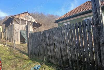 Casă cu Teren 1080 Mp în Blăjani - 7