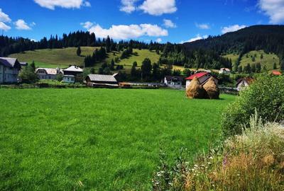 Spațiu comercial, în Ciocănești - 3