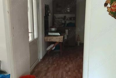 Casă cu Teren 6000 Mp în Viperești - 2