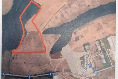 Teren Construcții intravilan de 10000 mp, în Sud - 2