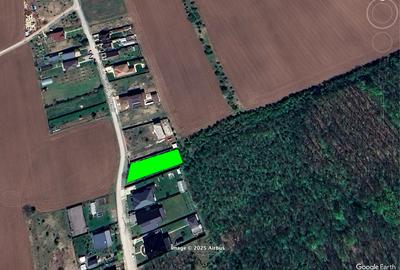 Teren langa padure intravilan | 978 Mp | 70 euro/mp | Snagov - Ciofliceni