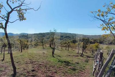 Teren de 7382 mp, în Central - 2