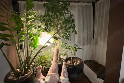 Apartament cu 2 camere semidecomandat în Km 4 - 2