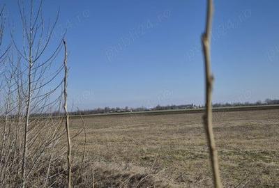 Teren de 36800 mp, în Scutelnici - 5