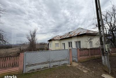 Casă cu 4 camere cu Teren 4505 Mp în Central - 18