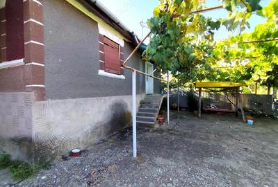 Casă cu 2 camere cu Teren 4600 Mp în Calea Mare - 19