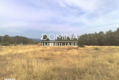 Spațiu comercial, în Polovragi - 8