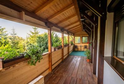 Spațiu comercial, de 414 mp, în Central - 17