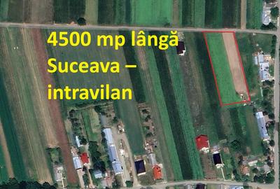 Spațiu comercial, în Bosanci - 3