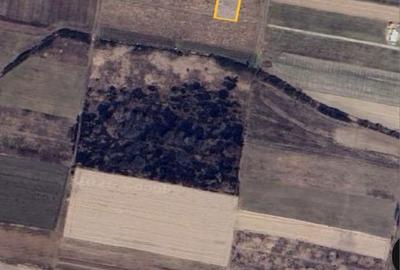 Spațiu comercial, în Borș - 4