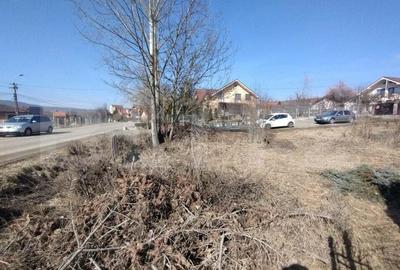 Teren intravilan 500mp(5 ari)la drumul pricipal,Valea Sigmirului - 1