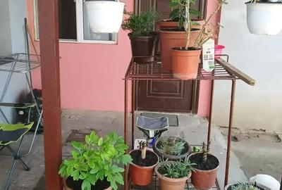 Casa la curte comuna - 8