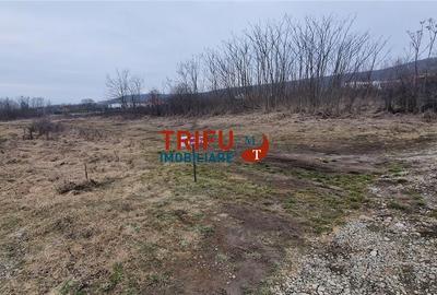 Teren de 1091 mp, în Cetate - 3