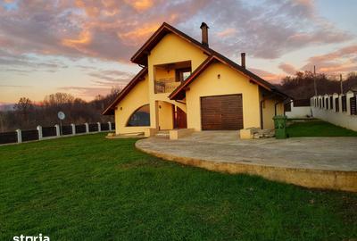 Casă cu 3 camere cu Teren 3000 Mp în Slătioara - 18