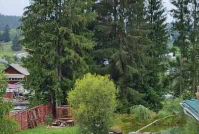 Domeniu situat la poalele Calimanilor - 6