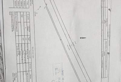 Teren extravilan Dambovita Ciocanesti - 2