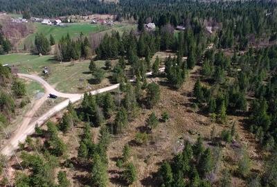 Teren intravilan 3,584mp Calatele Padure - 3