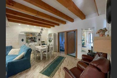 Casa de vacanta superba in Crivaia - 9