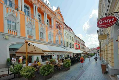 Apartament de vanzare, 2 camere, ultracentral, Str. Repu...