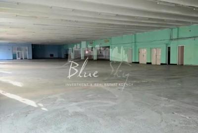 Spațiu comercial, de 1,687 mp, în Central - 9