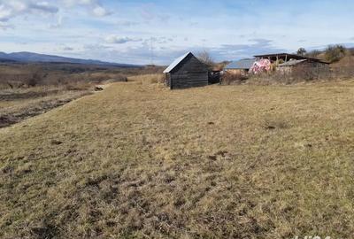 Teren de 8400 mp, în Vălișoara - 2