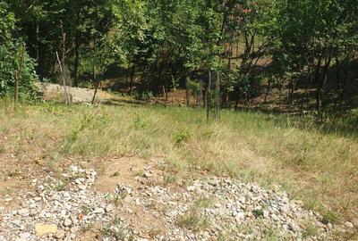 Spațiu comercial, în Valea Unghiului - 2