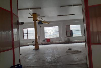 Hala de productie/depozitare si teren 15000 mp - Marsa -Sibiu - 3