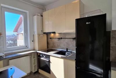 Apartament cu 2 camere semidecomandat în Dudu - 1