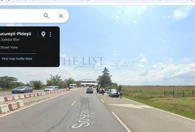 Teren Construcții intravilan de 15000 mp, în Tâncăbești - 3