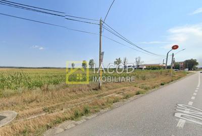 Teren intravilan, 8333 mp, la E85, comuna Secuienii Noi, jud - 4