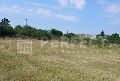 Teren 5590 mp INTRAVILAN Baicoi pret 17 euro/mp - 11