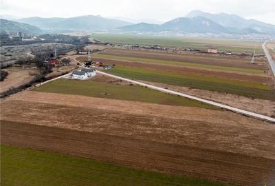 Teren de 5500 mp, în Tărlungeni - 5