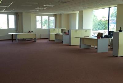 Spațiu comercial, de 7,500 mp, în Ciolpani - 5