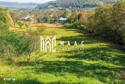 Spațiu comercial, în Paltin - 2