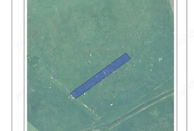 Teren de 30000 mp, în Sânmihaiu Român