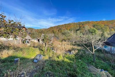 Teren intravilan 2500 mp - 2