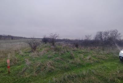 Teren de 2500 mp, în Cârcea - 1