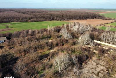 Spațiu comercial, în Nuci - 4