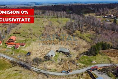 Teren Construcții intravilan de 10450 mp, în Beliș