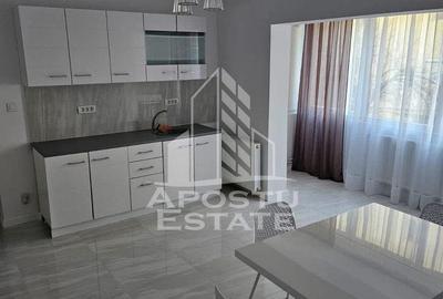 Apartament cu 3 camere,renovat,Calea Lipovei - 3