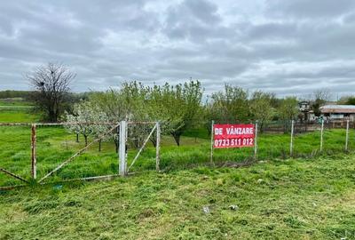 Teren agricol intravilan de 6576 mp, în Curcani - 1