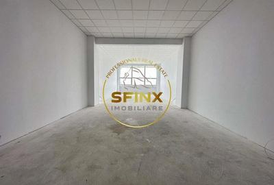 Spațiu comercial, de 2,539 mp, în Theodor Pallady - 1