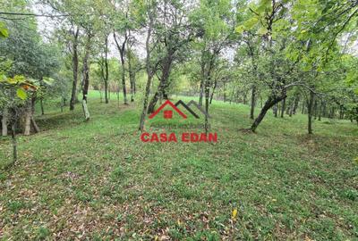 Teren intravilan in Sotrile--5991mp--10e Teren intravilan in Sotrile--5991mp--10e - 6