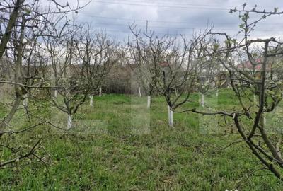 Teren de 2700 mp, în Dorohoi - 1
