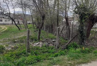 Casa de vanzare Domnesti Arges - 11